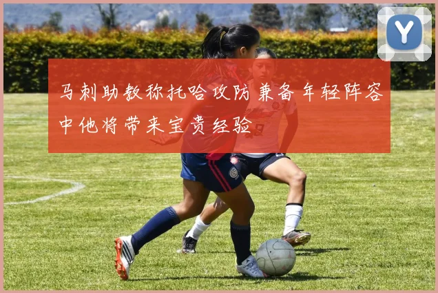 马刺助教称托哈攻防兼备年轻阵容中他将带来宝贵经验