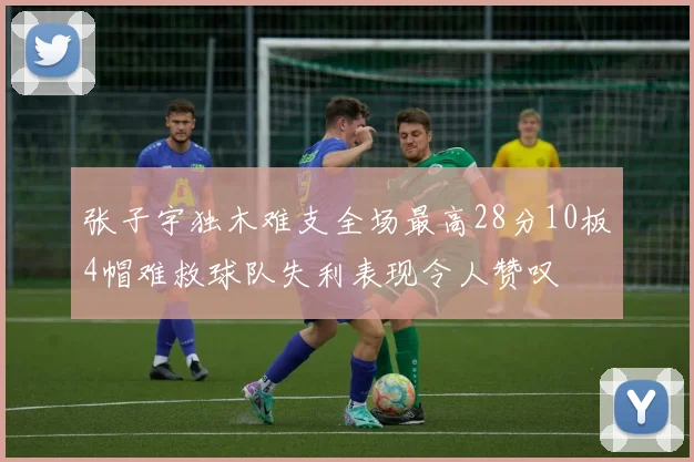 张子宇独木难支全场最高28分10板4帽难救球队失利表现令人赞叹
